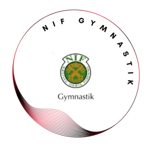 Næstved IF Gymnastik