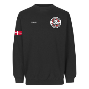 4a-DKSF-ID-Sweatshirt | klassisk-0600