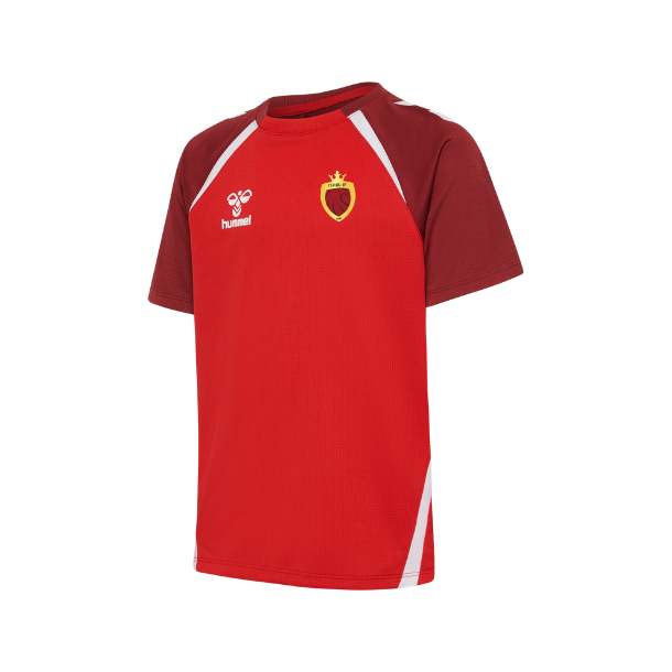1a-IIF-Hummel-hmlLEAD 2.0 JERSEY S/S KIDS-223741 fv. 3713