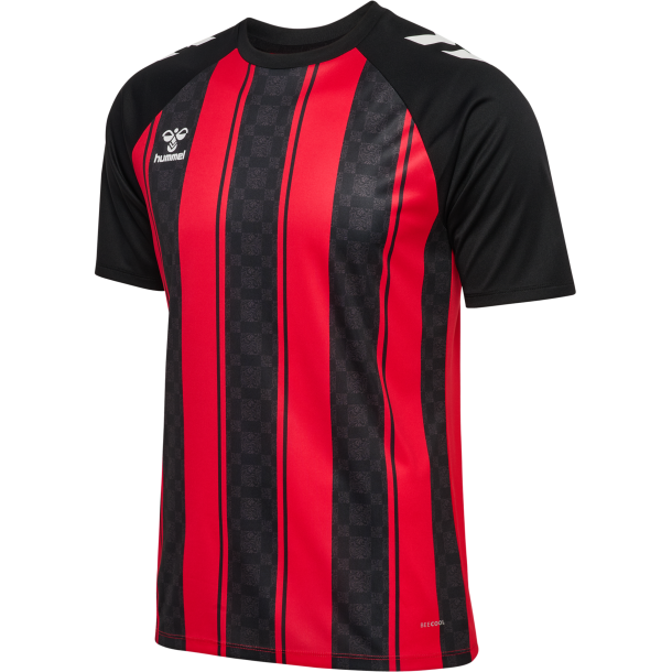 1a-IIF-Hummel-FUTURE STRIPED JERSEY-233155 fv.3081