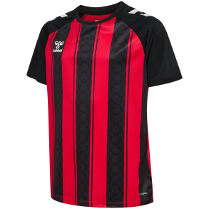 1a-IIF-Hummel-STRIPED JERSEY KIDS-233156 fv.3081