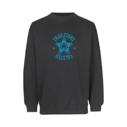 TF.C-4-ID Unisex  Klassisk Sweatshirt 0600