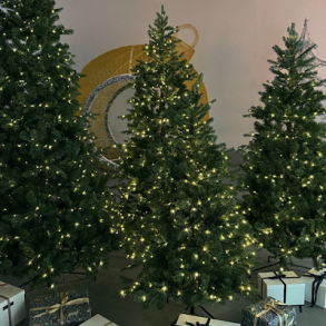 SIRIUS Juletr� Eric