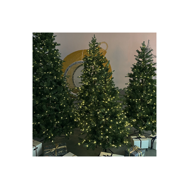 SIRIUS Juletr� Eric