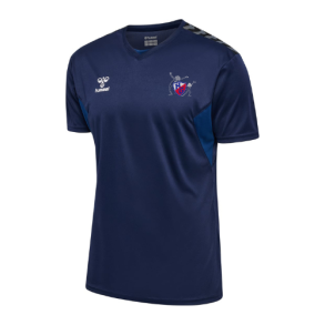 1b-HGG-Hummel-hmlAUTHENTIC PL JERSEY S/S Herre-219964-7026