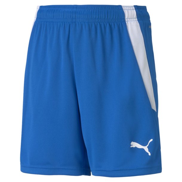 7a-FJ Puma Brn Fodboldshorts teamGOAL 704931-02