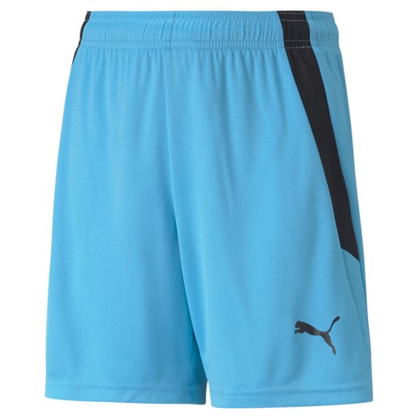 7b-FJ Puma Brn Fodboldshorts teamGOAL 704931-40