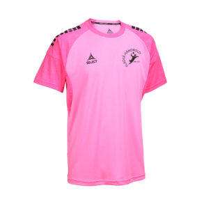 1d-FLH-Select Spain Spilletrje 600105 Pink