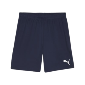 7b-�M Puma - TeamGOAL Shorts 705752-06
