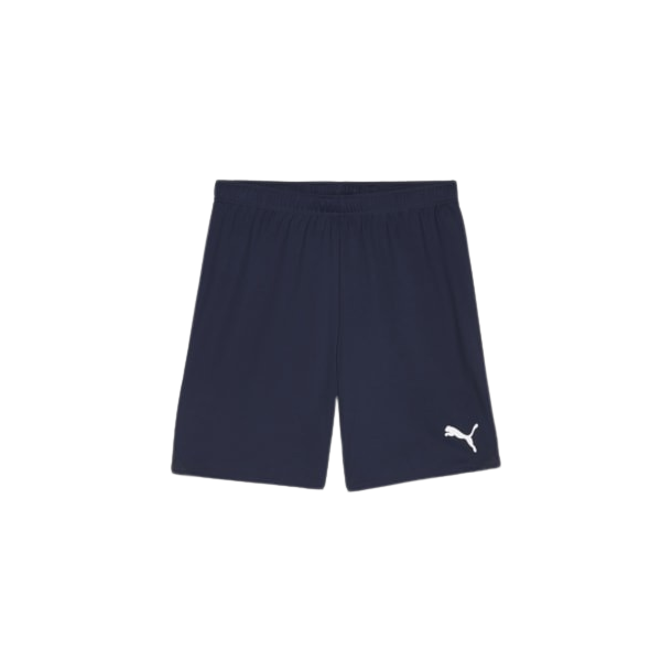 7b-M Puma - TeamGOAL Shorts 705752-06